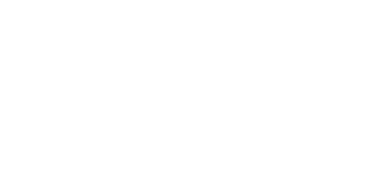 Sponsor
